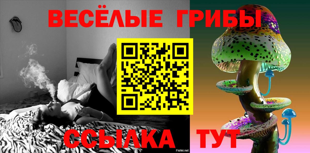 купить наркоту  Псилоцибиновые грибы Psilocybine cubensis  Вход с VPN  Сегежа 